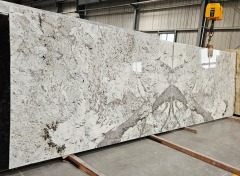 NOWOŚĆ! (G) Alpinus gr 2cm